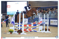 Vente de cheval : Mustang de Molion